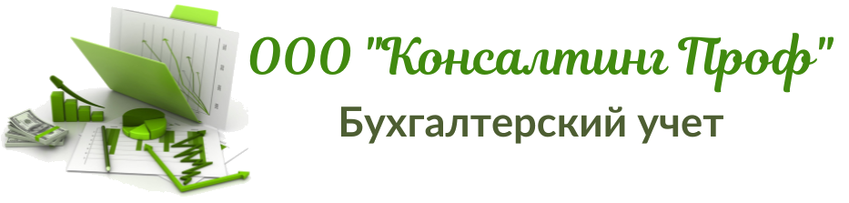 ООО "Консалтинг Проф", Бухгалтерский учет